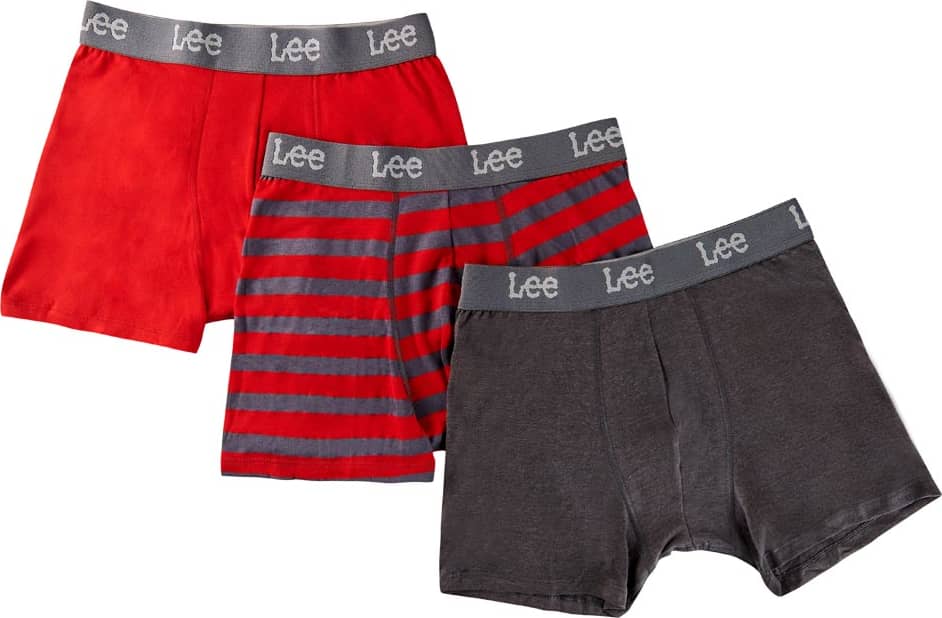 ROPA INTERIOR BOXER/TRUSA LEE YROJ