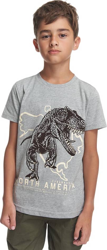 PLAYERA DINOSAURIO
