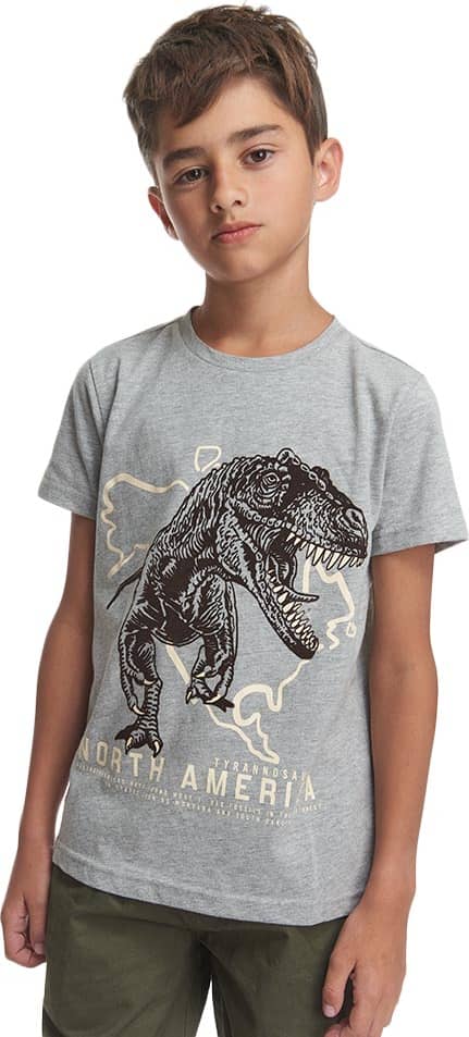 PLAYERA DINOSAURIO