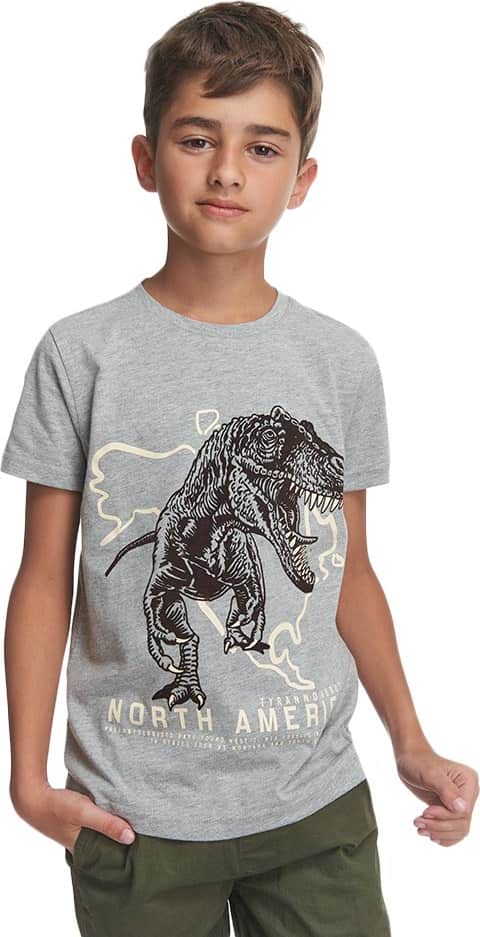 PLAYERA DINOSAURIO