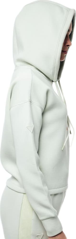 Sudadera Basica Estampada