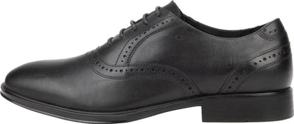 ZAPATO VESTIR OXFORD