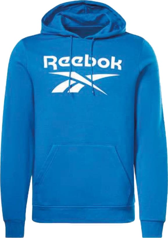 SUDADERA RI FLC BIG LOGO HOOD