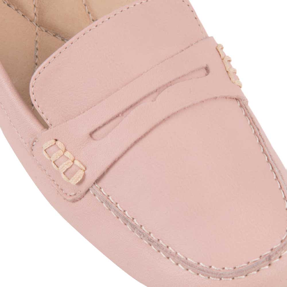 CONFORT CHOCLO HISPANA 7551