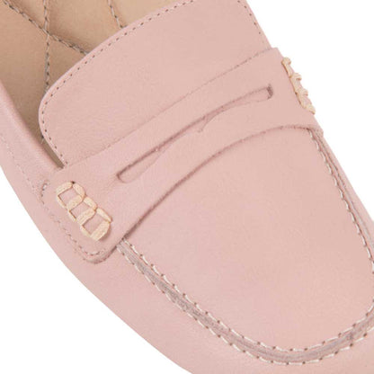 CONFORT CHOCLO HISPANA 7551