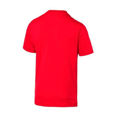 JERSEYS DEPORTIVO PUMA FTBLPLAY GRAPHIC SHIRT  6501 ~ CABALLERO Rojo FOOTBALL/SOCCER