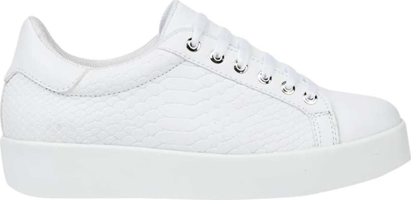 TENIS CASUAL URBANO CHOCLO URBAN SHOES 6827