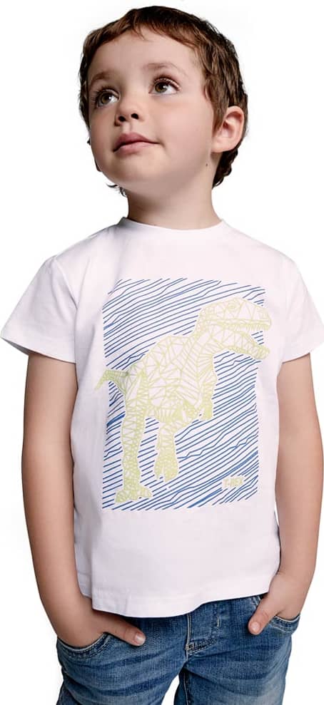 ROPA CASUAL PLAYERA NEXT & CO 4568